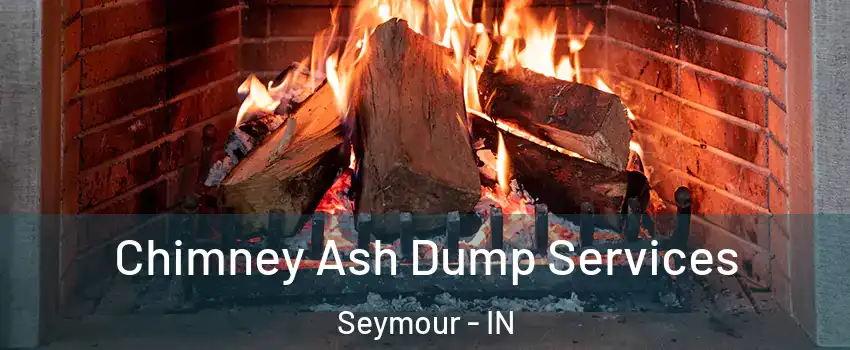  Chimney Ash Dump Services Seymour - IN