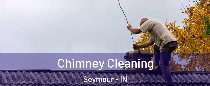  Chimney Cleaning Seymour - IN