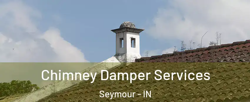  Chimney Damper Services Seymour - IN