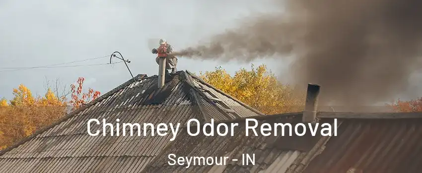  Chimney Odor Removal Seymour - IN
