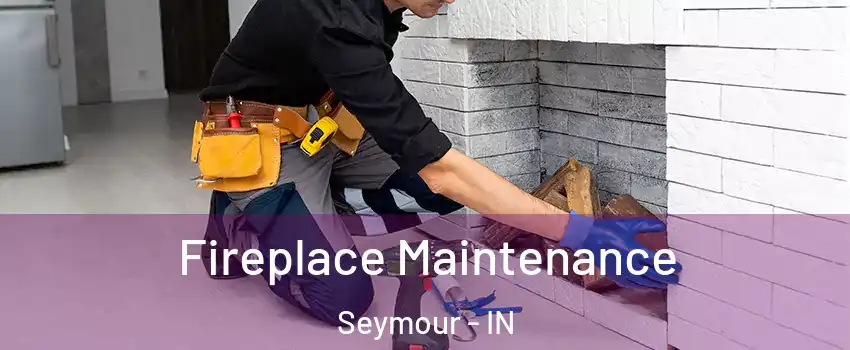  Fireplace Maintenance Seymour - IN