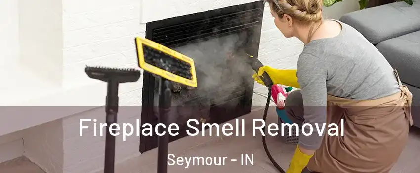  Fireplace Smell Removal Seymour - IN