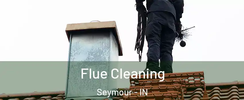  Flue Cleaning Seymour - IN