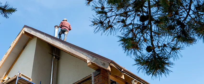 Birds Removal Contractors from Chimney in Seymour, IN