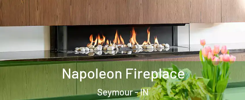  Napoleon Fireplace Seymour - IN