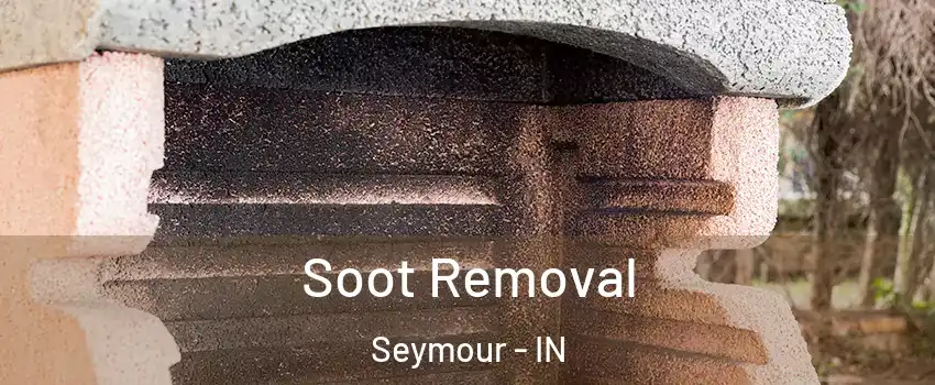  Soot Removal Seymour - IN